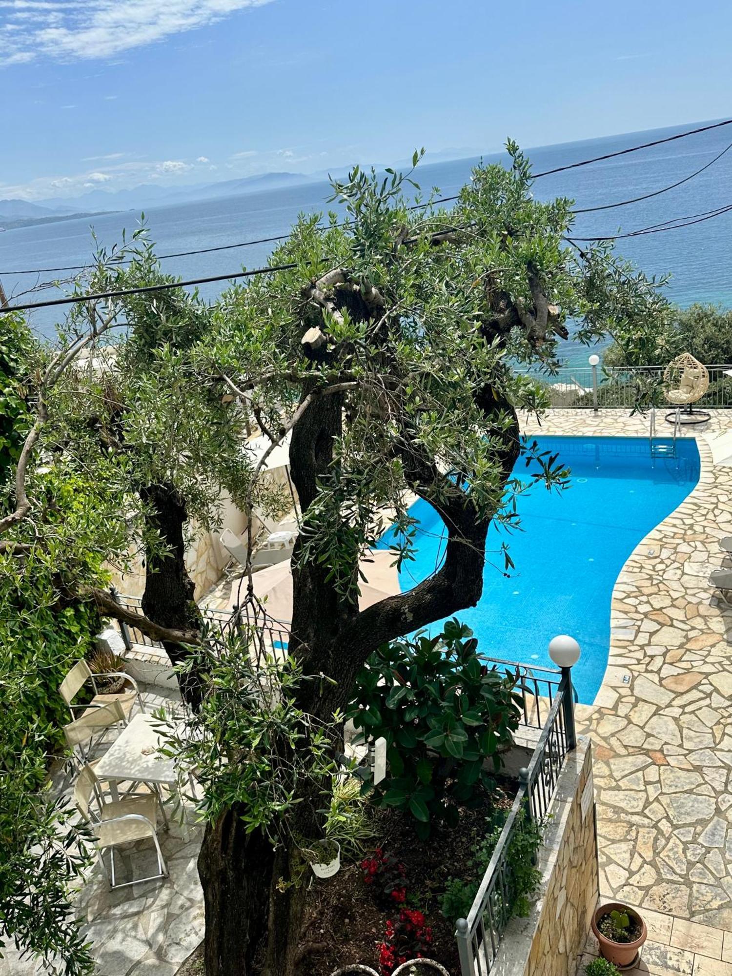 Vladimiros Apartments Barbáti Kültér fotó